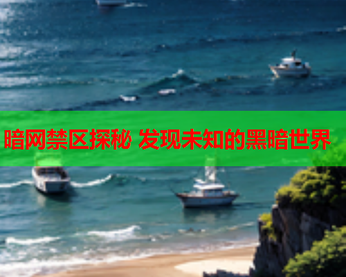 暗网禁区探秘 发现未知的黑暗世界
