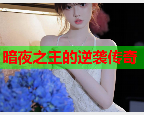 暗夜之王的逆袭传奇
