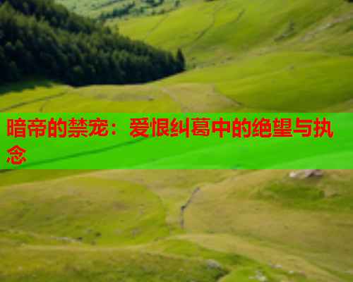 暗帝的禁宠：爱恨纠葛中的绝望与执念