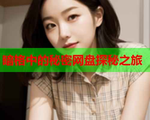 暗格中的秘密网盘探秘之旅