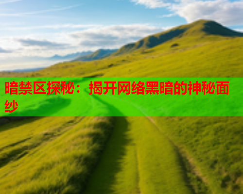 暗禁区探秘：揭开网络黑暗的神秘面纱