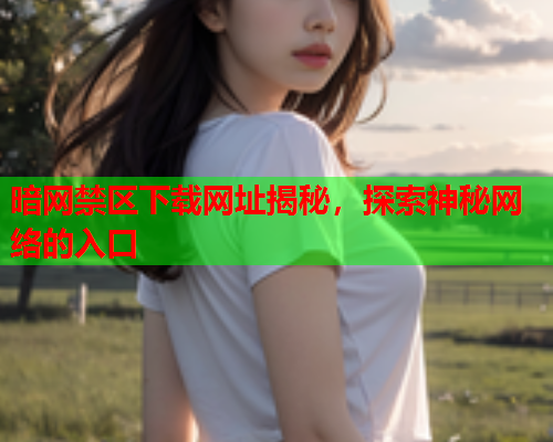 暗网禁区下载网址揭秘，探索神秘网络的入口