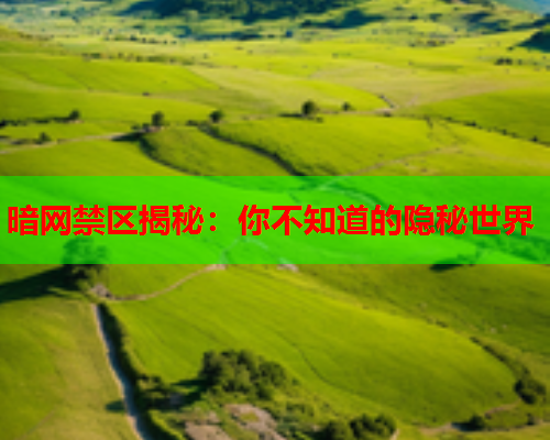 暗网禁区揭秘：你不知道的隐秘世界