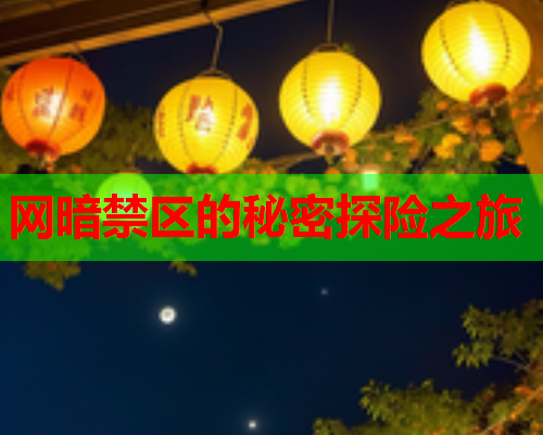 网暗禁区的秘密探险之旅