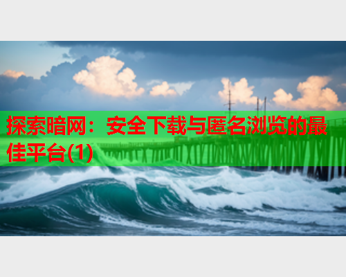 探索暗网：安全下载与匿名浏览的最佳平台(1)