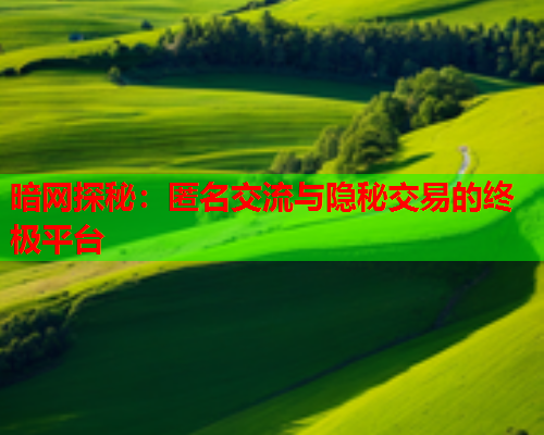暗网探秘：匿名交流与隐秘交易的终极平台