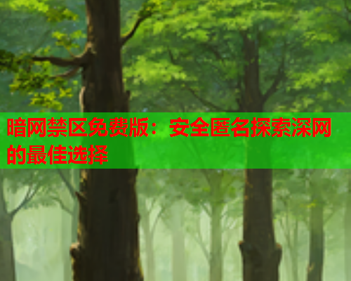 暗网禁区免费版：安全匿名探索深网的最佳选择