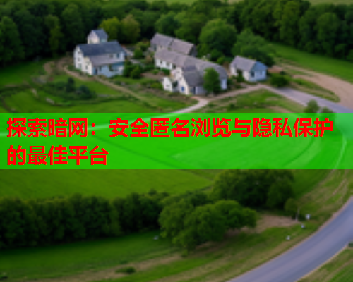探索暗网：安全匿名浏览与隐私保护的最佳平台
