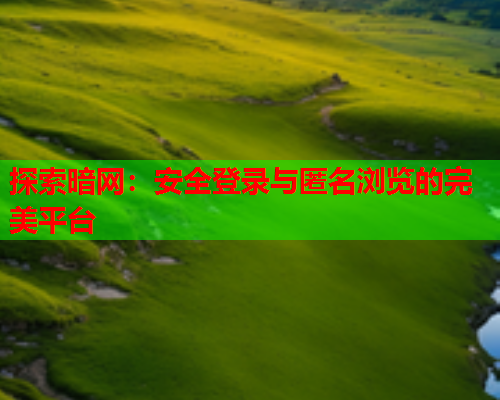 探索暗网：安全登录与匿名浏览的完美平台
